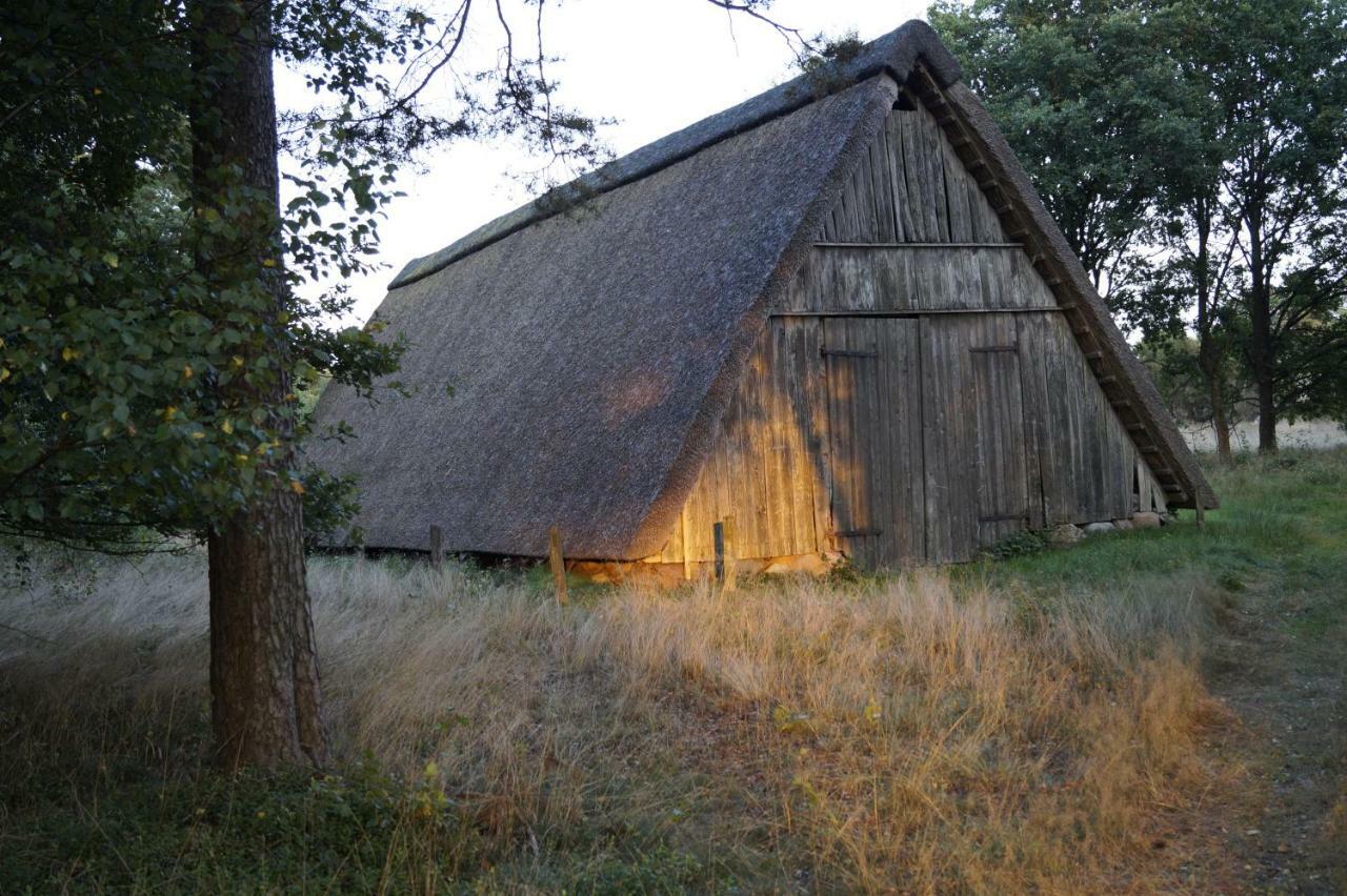Ferienhaus Wahlers Bispingen Zewnętrze zdjęcie