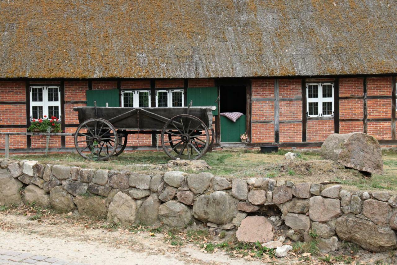 Ferienhaus Wahlers Bispingen Zewnętrze zdjęcie