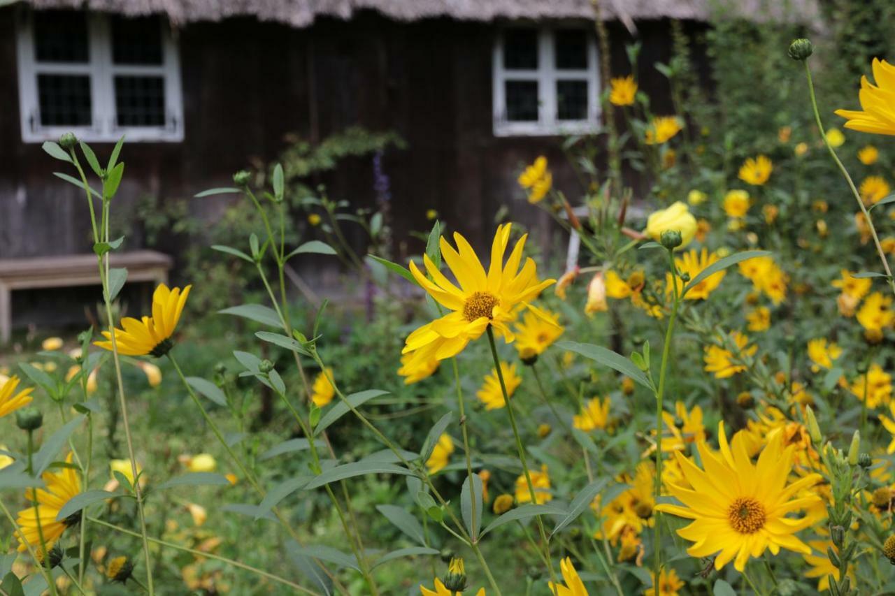 Ferienhaus Wahlers Bispingen Zewnętrze zdjęcie